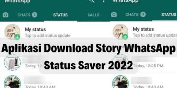 Aplikasi Download Story whatsApp