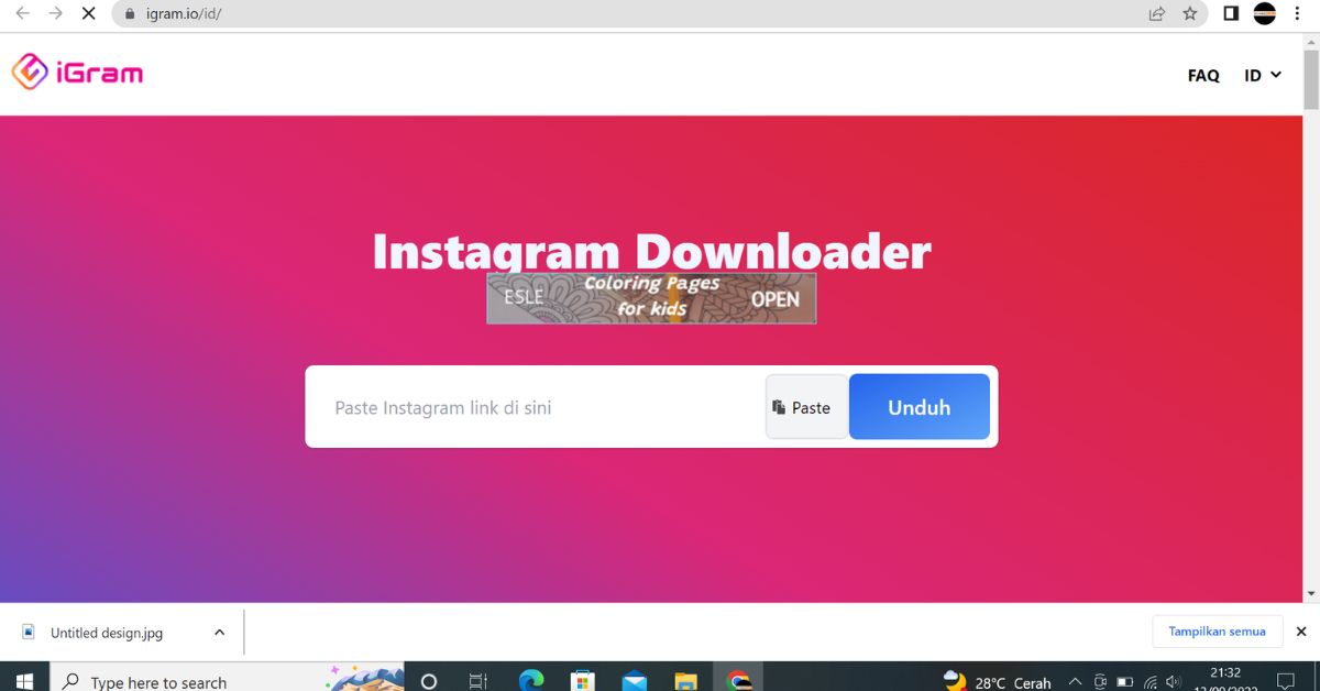 instagram downloader